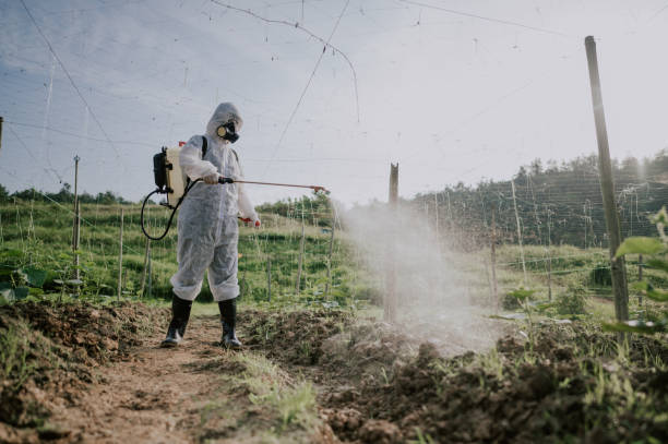 Professional Pest Control in Deatsville, AL