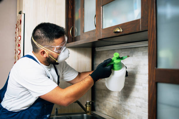Best Affordable Exterminators  in Deatsville, AL