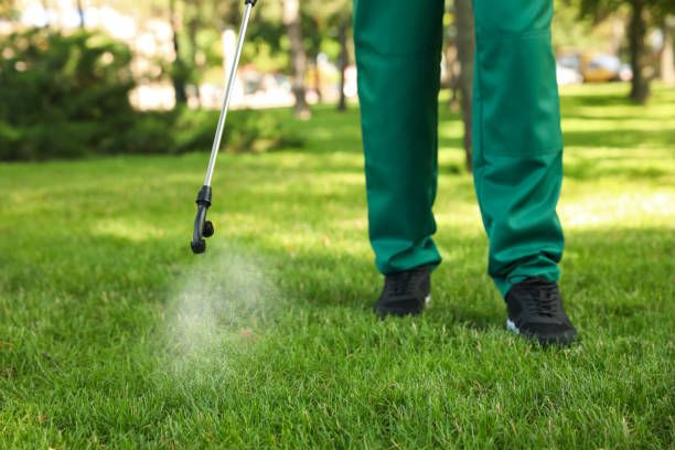 Best Ant Control Services  in Deatsville, AL