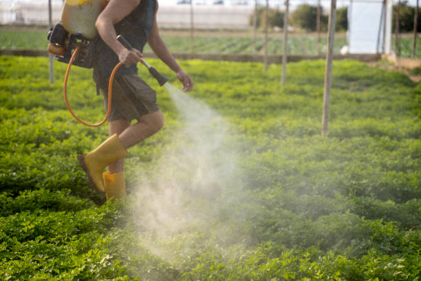 Best Affordable Pest Control Services  in Deatsville, AL