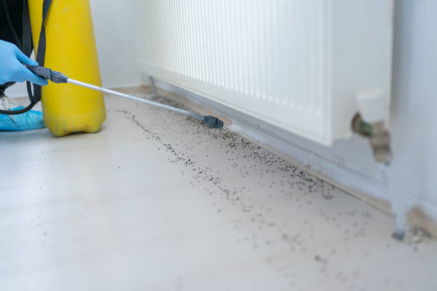 Best Emergency Pest Control  in Deatsville, AL